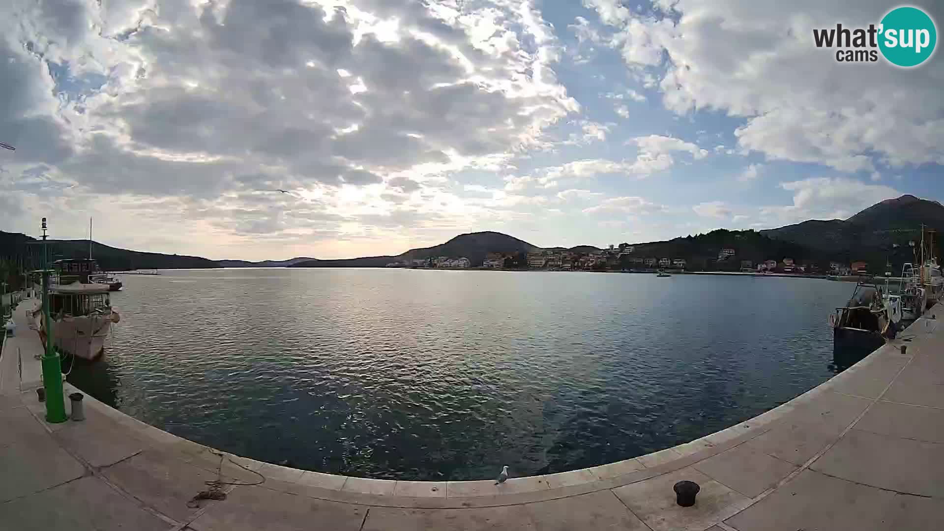 Web kamera Slano – bahía