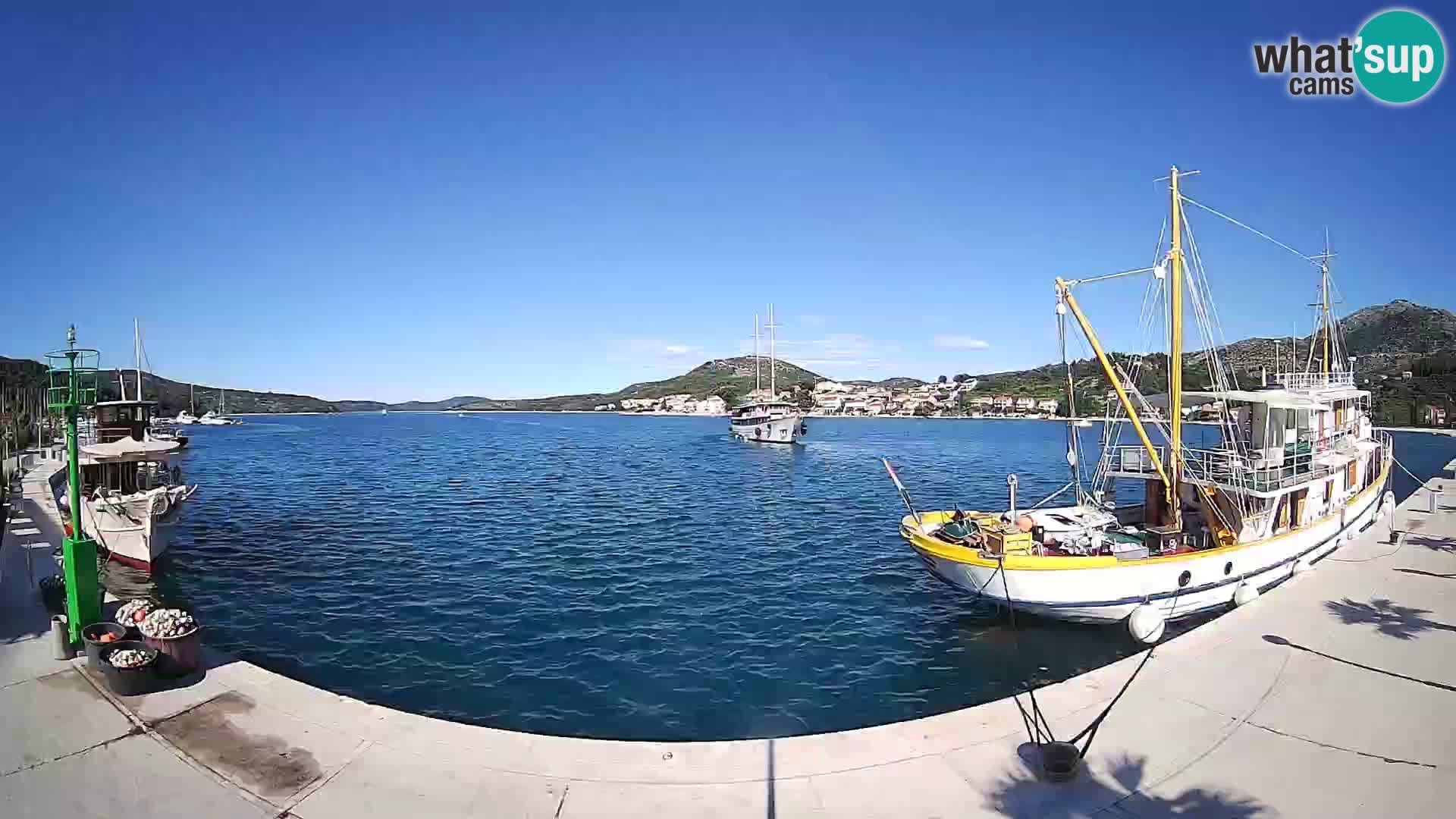 Webcam live Slano – Riva