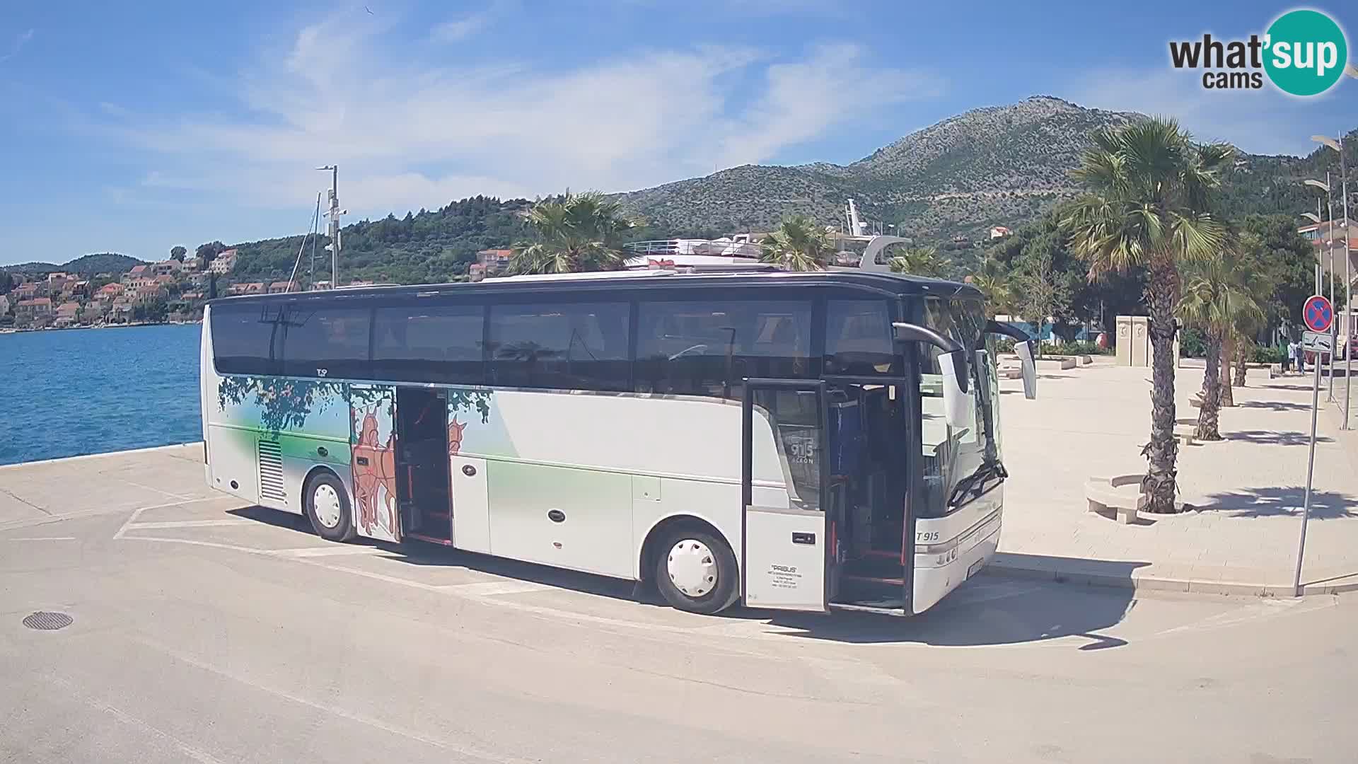 Livecam Slano – Dubrovnik Neretva region webcam Croatie