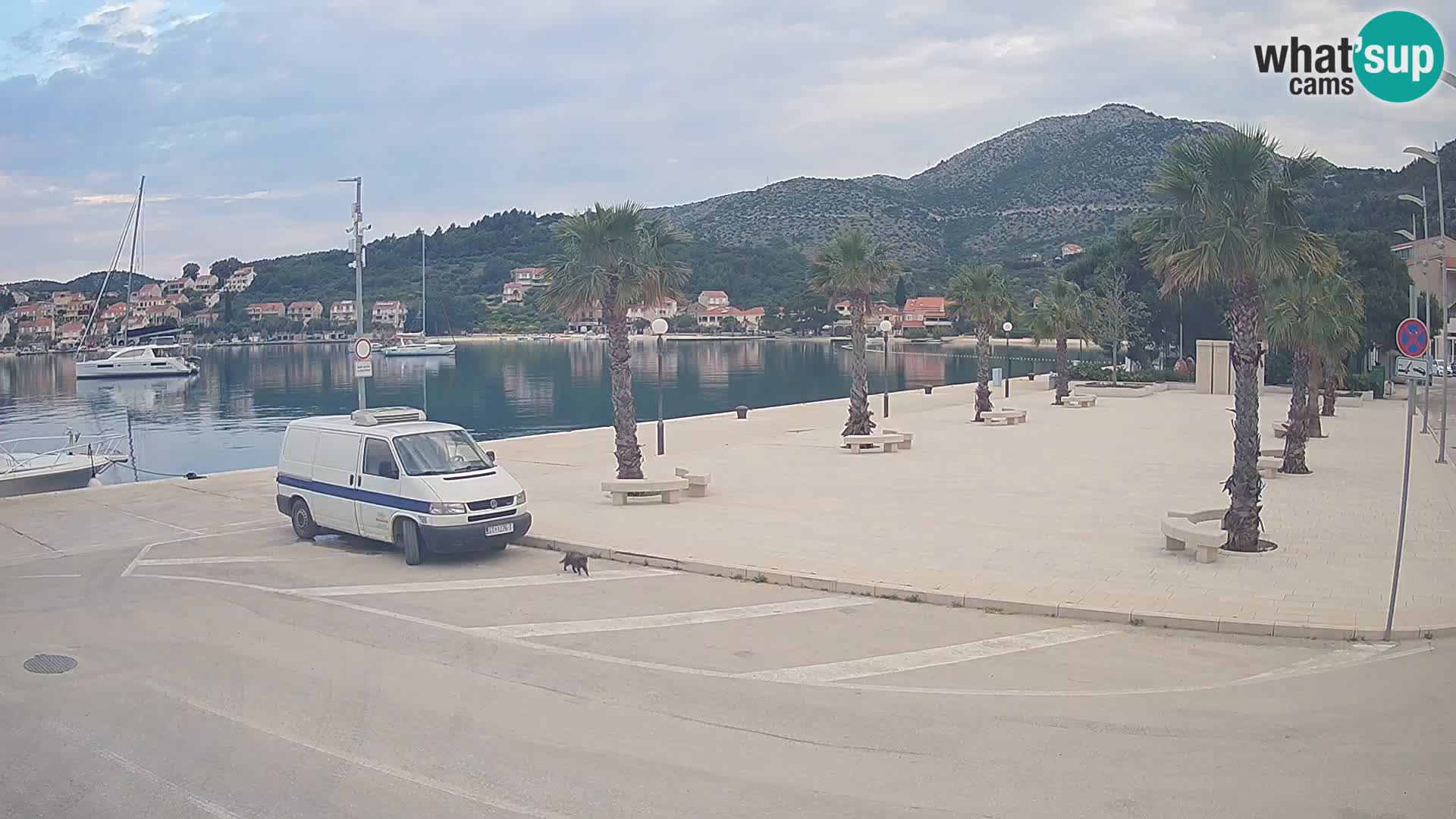 Livecam Slano – Dubrovnik Neretva region webcam Croatie
