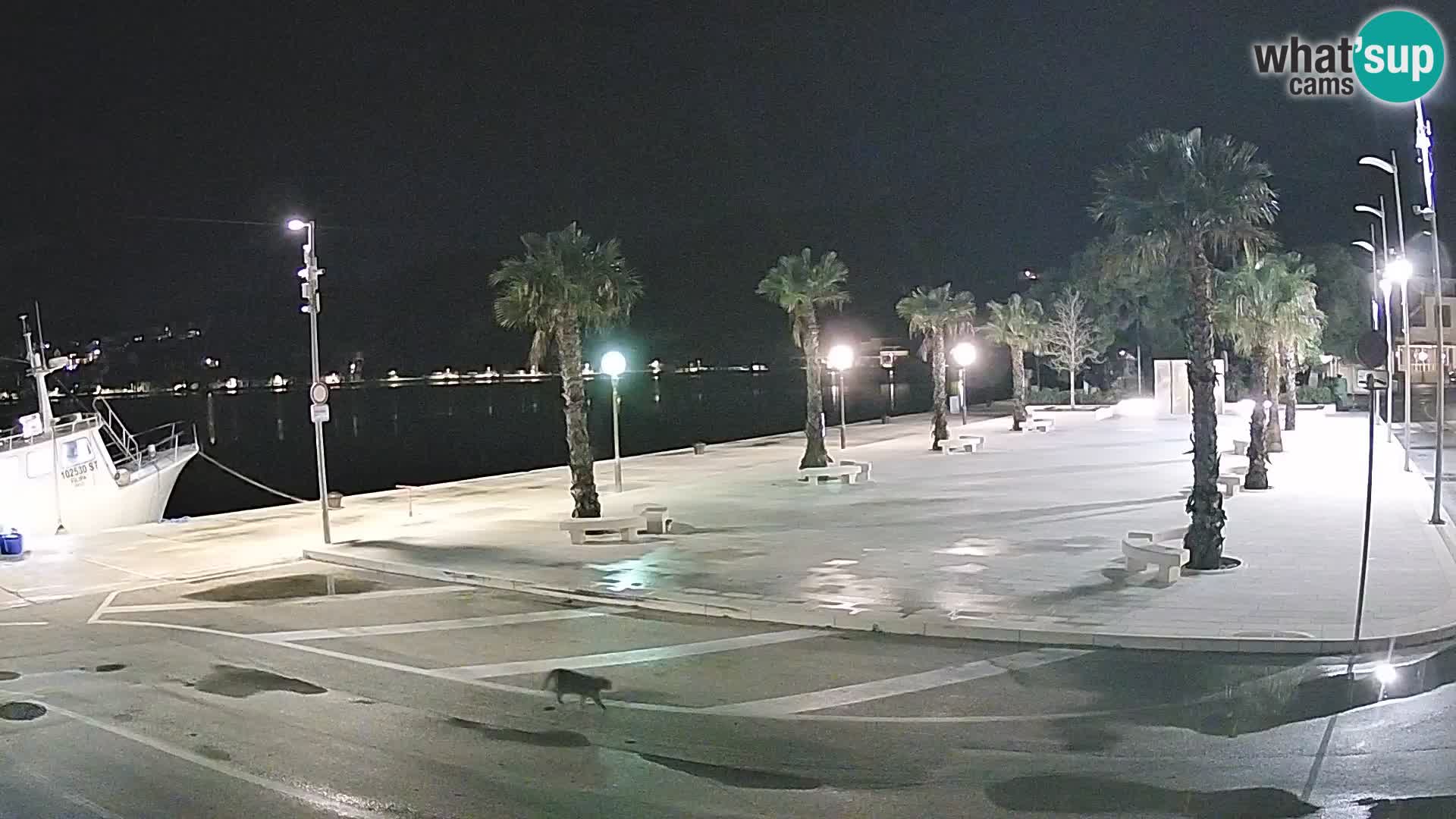 Web kamera Slano – Dubrovačko-Neretvanska