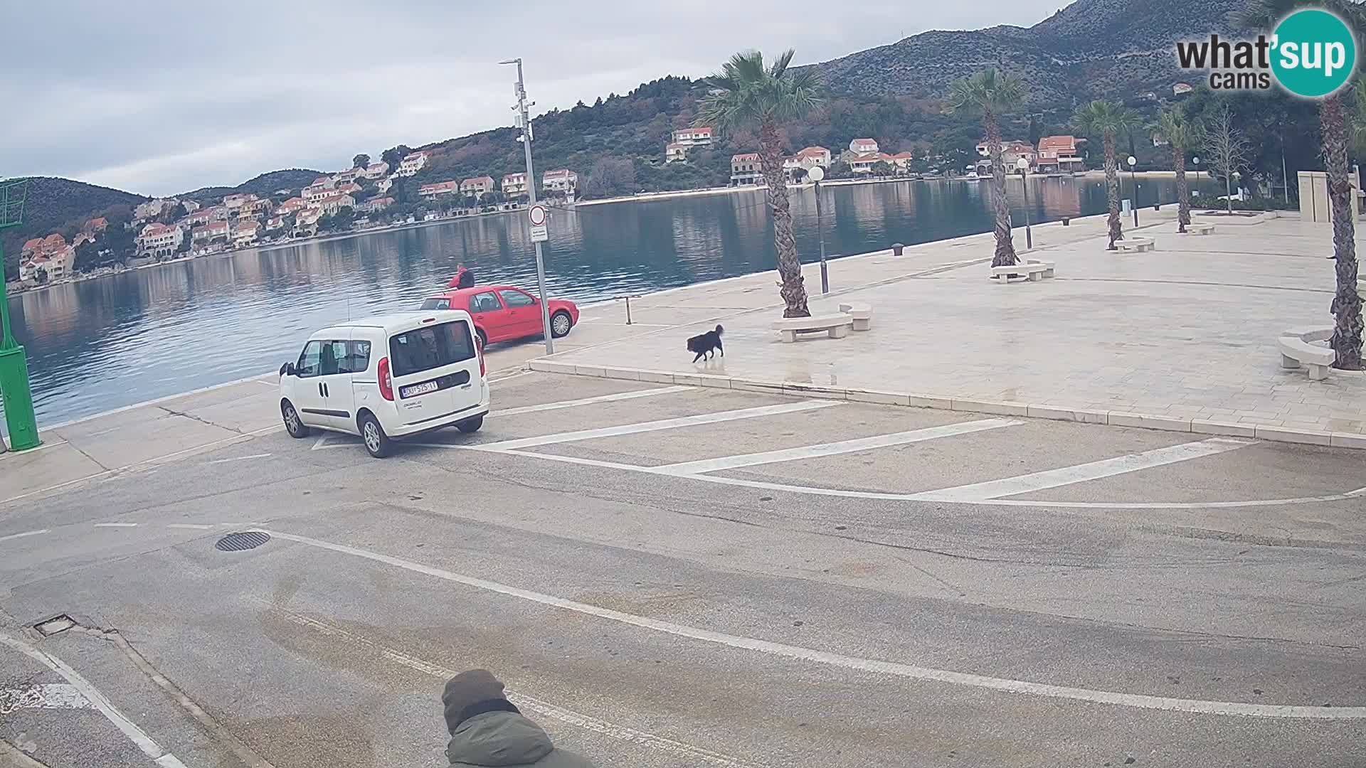 Webcam Slano – Dubrovnik Neretva Camera en vivo Croacia