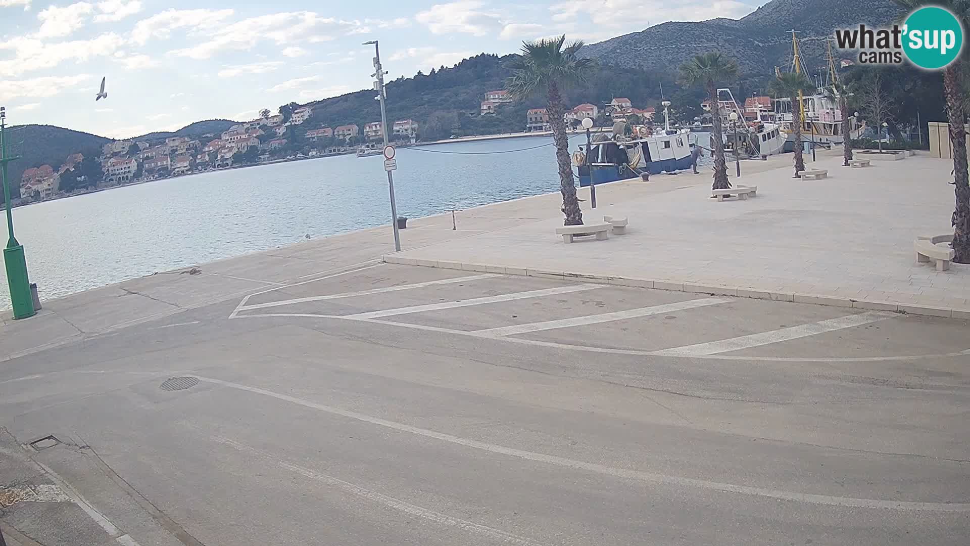 Webcam Slano – Dubrovnik Neretva Camera en vivo Croacia
