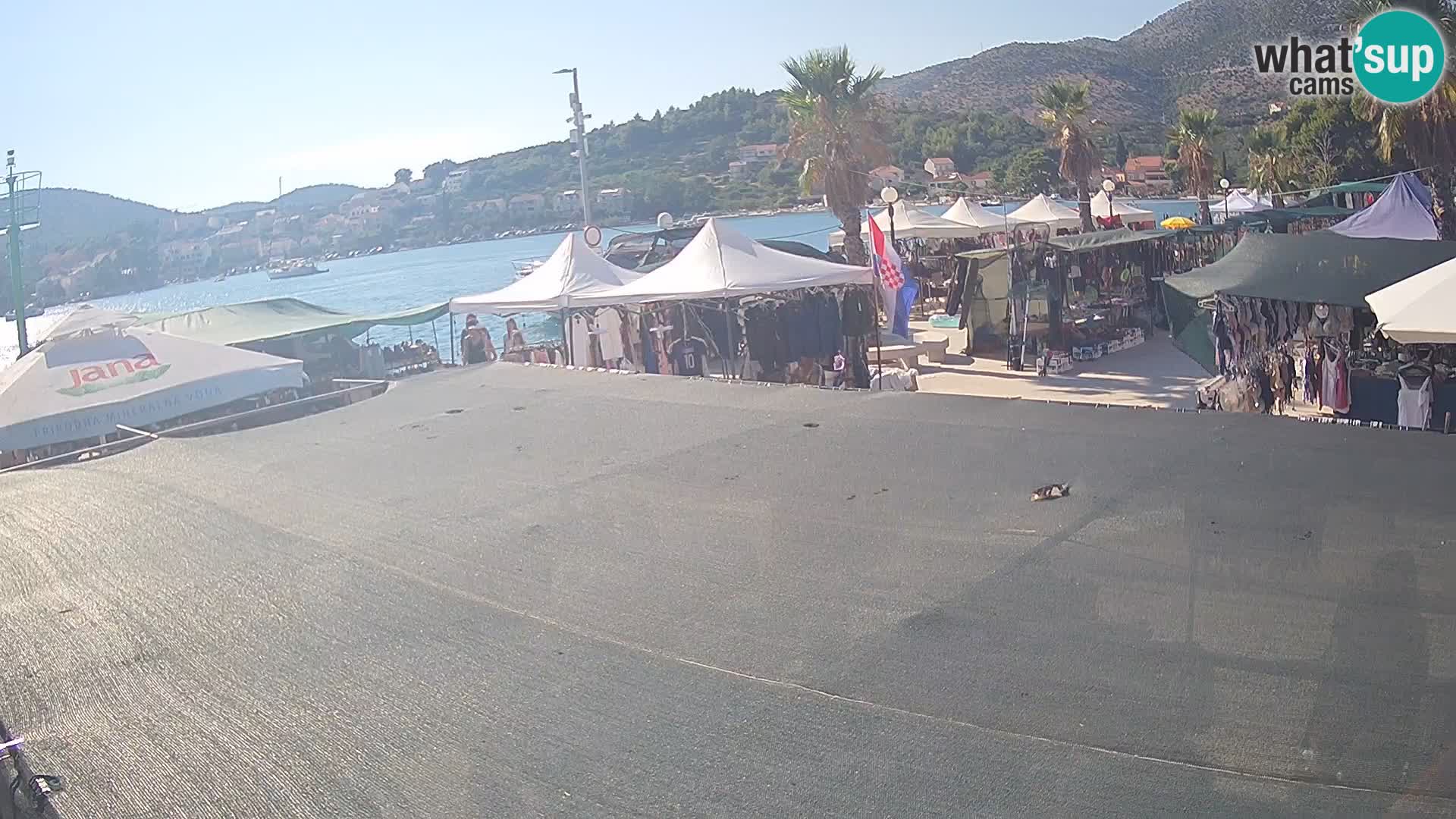 Livecam Slano – Dubrovnik Neretva region webcam Croatie