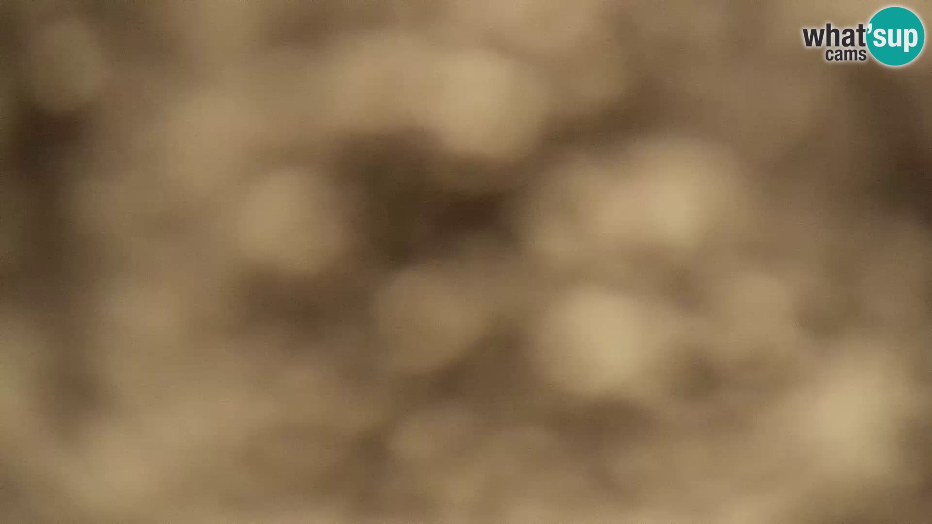 Sljeme webcam – Panorama