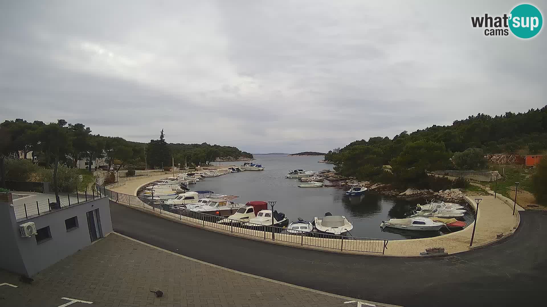 Livecam Sovlje – Baia ANTIC – Tribunj