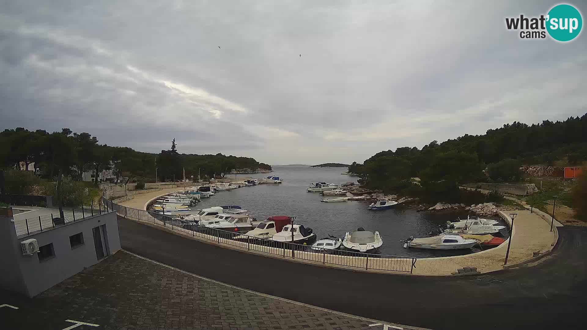 Live Webcam Sovlje – ANTIC Baie – Tribunj