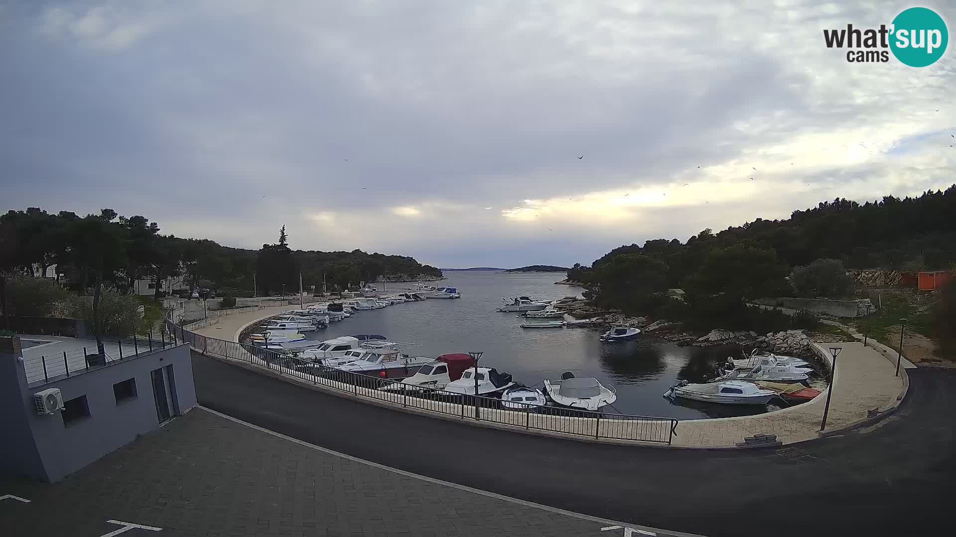 Webcam Sovlje – ANTIC Bucht – Tribunj