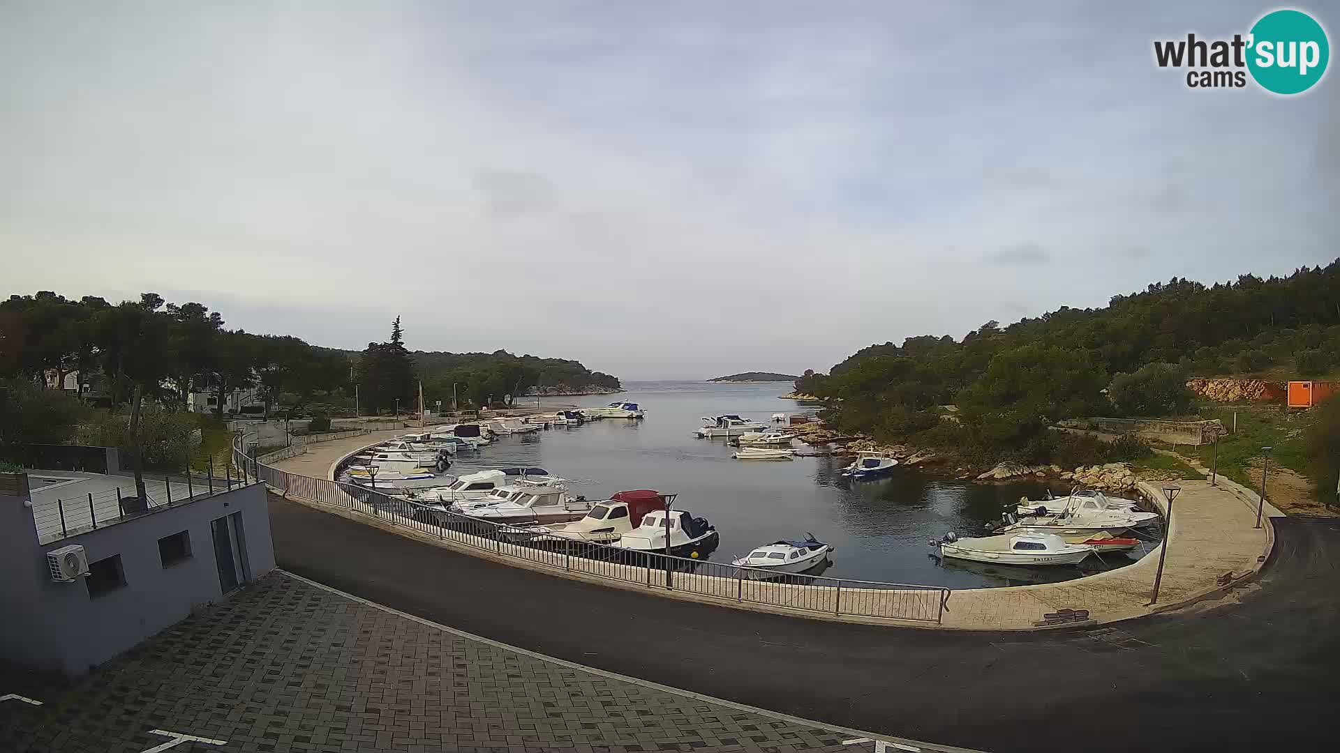 Live Webcam Sovlje – ANTIC Baie – Tribunj