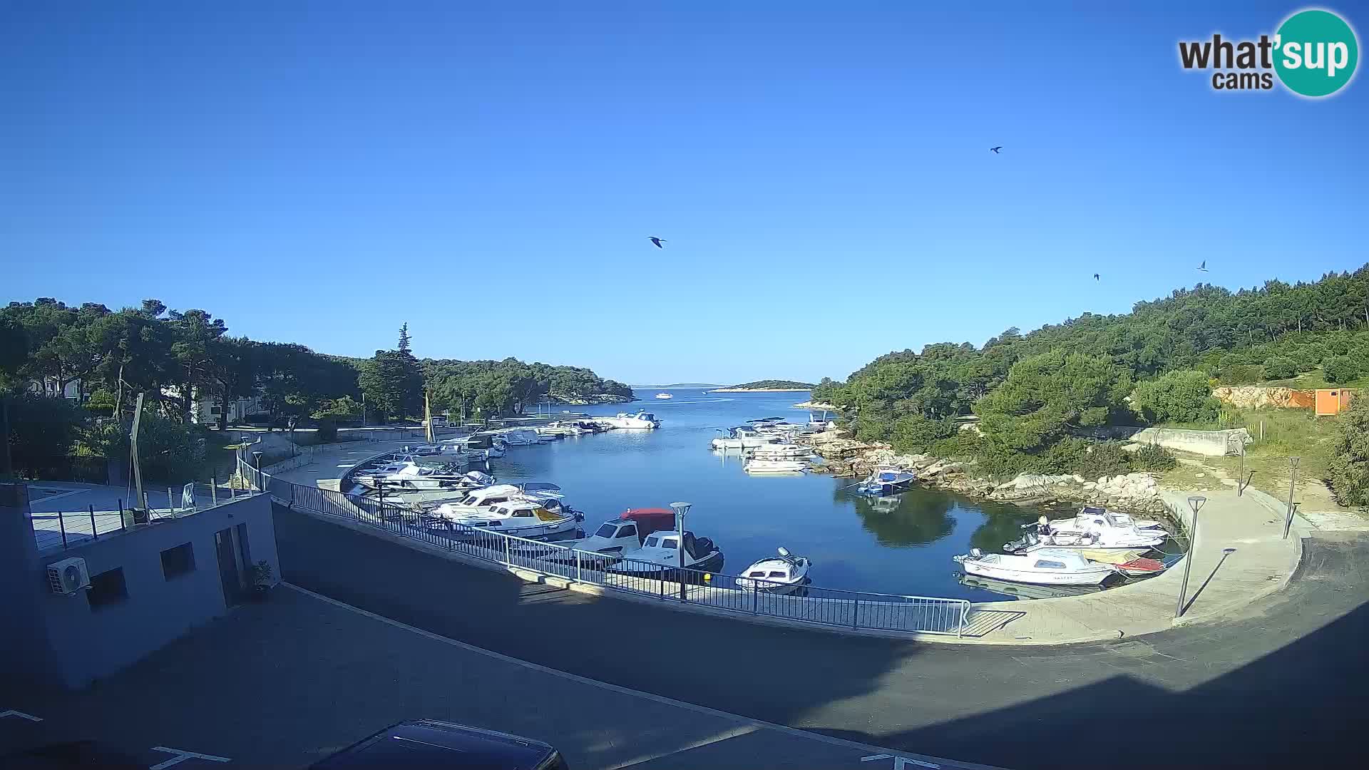 Camera en vivo Sovlje – ANTIC bahía – Tribunj