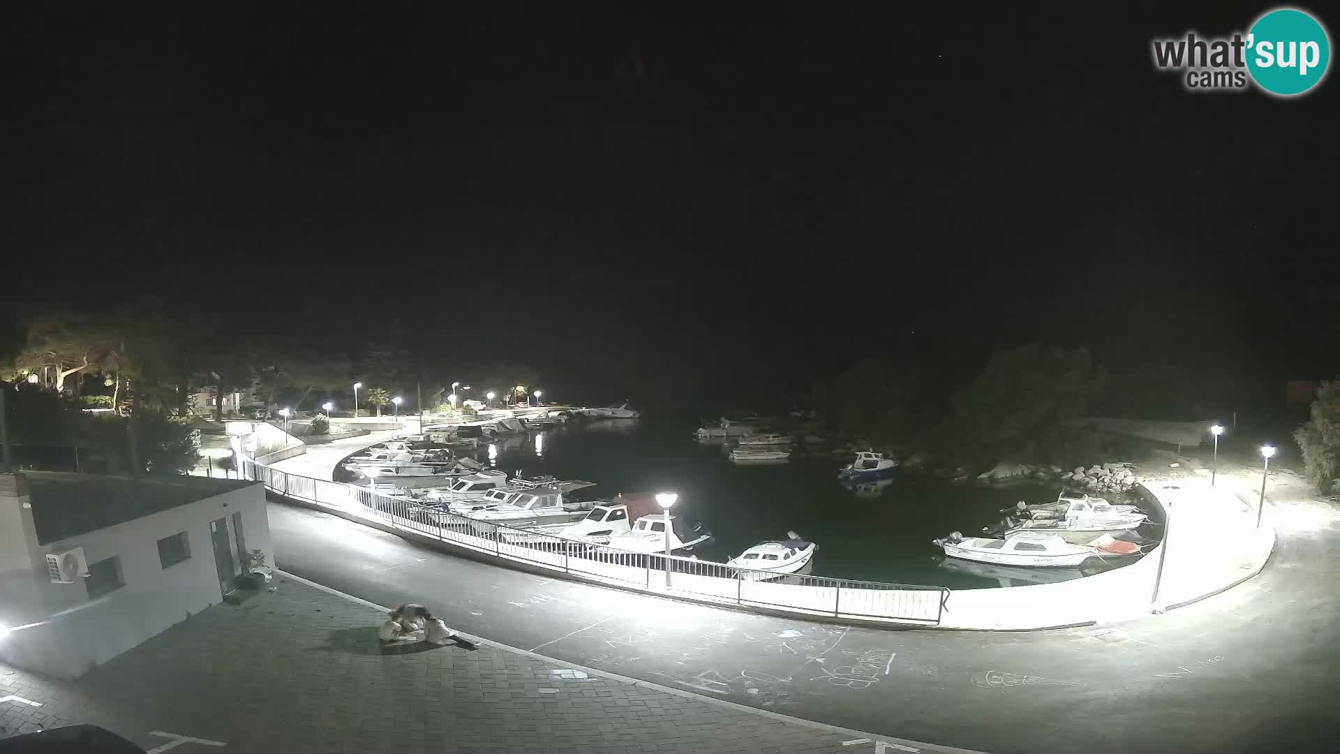 Live Webcam Sovlje – ANTIC Baie – Tribunj