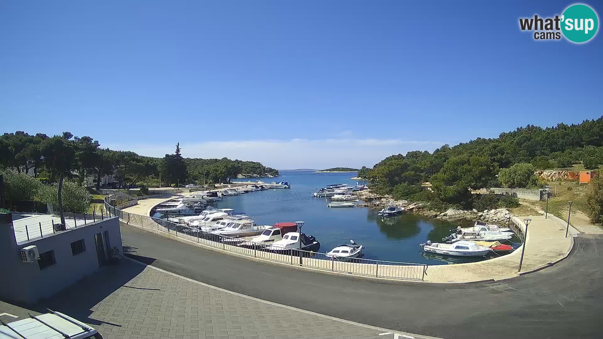 Live Webcam Sovlje – ANTIC Baie – Tribunj