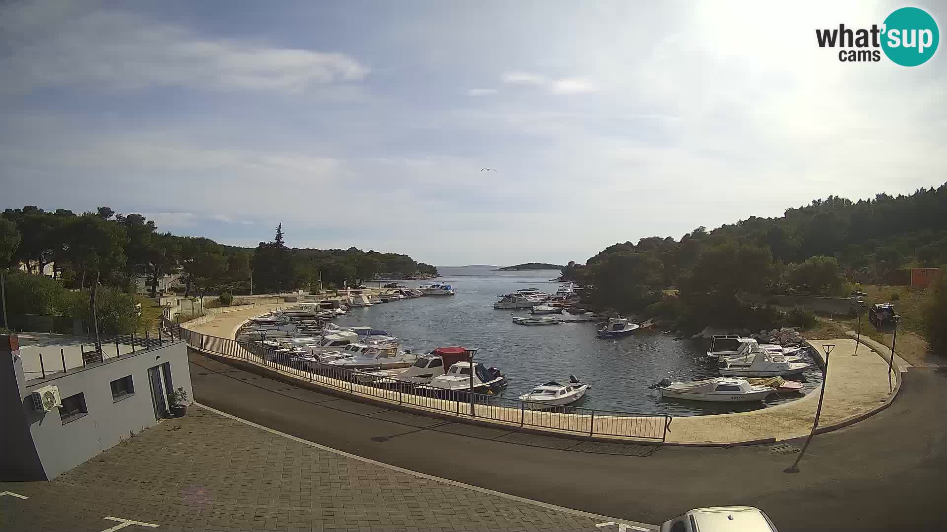 Webcam Sovlje – ANTIC Bucht – Tribunj
