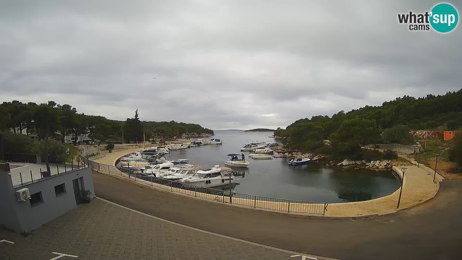 Kamera v živo Sovlje – ANTIC zaliv – Tribunj