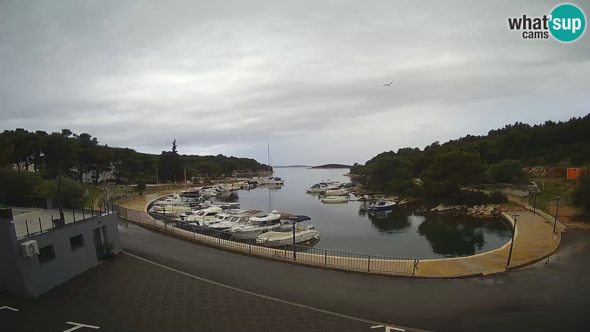 Webcam Sovlje – ANTIC Bucht – Tribunj