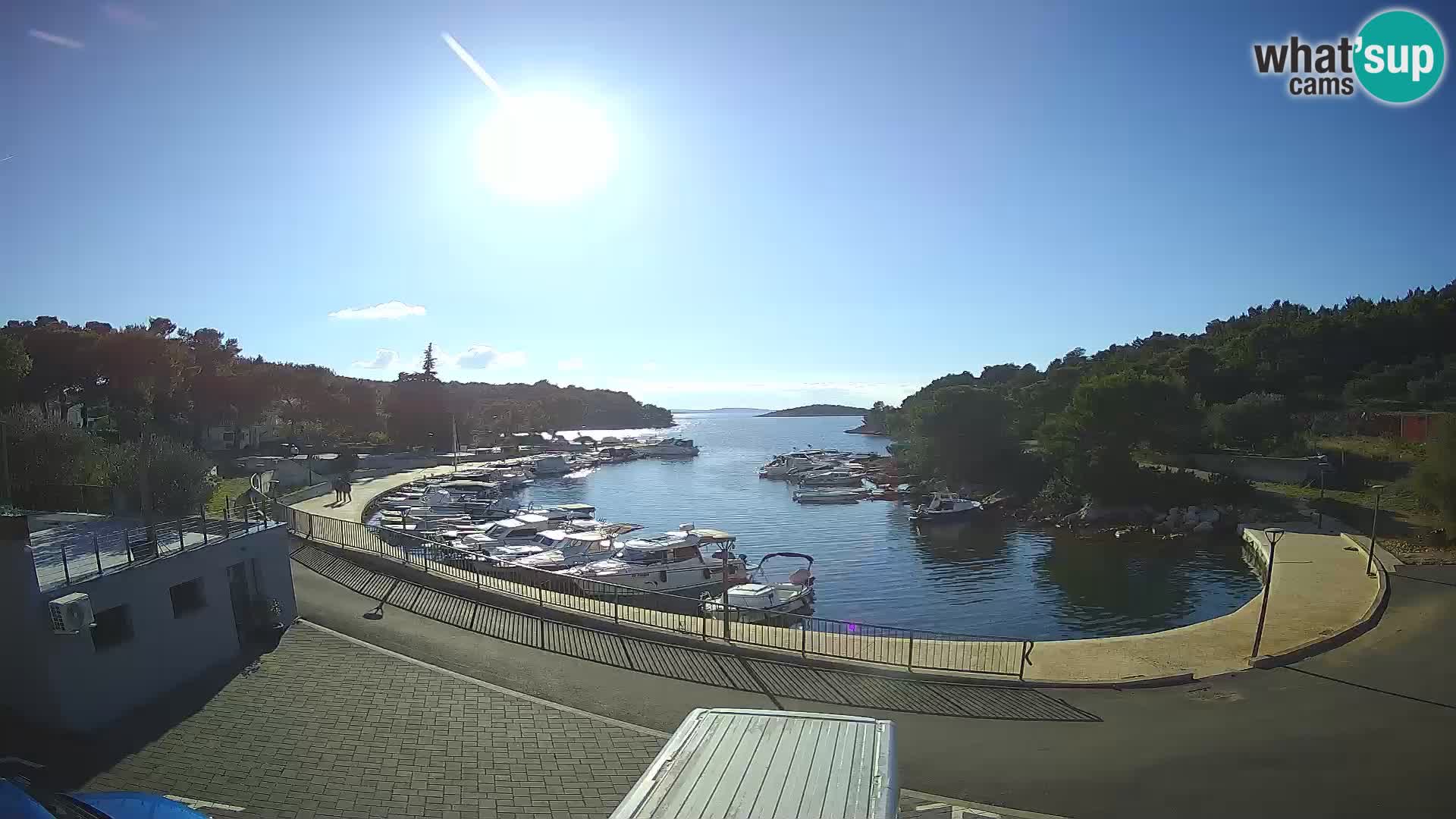 Kamera v živo Sovlje – ANTIC zaliv – Tribunj