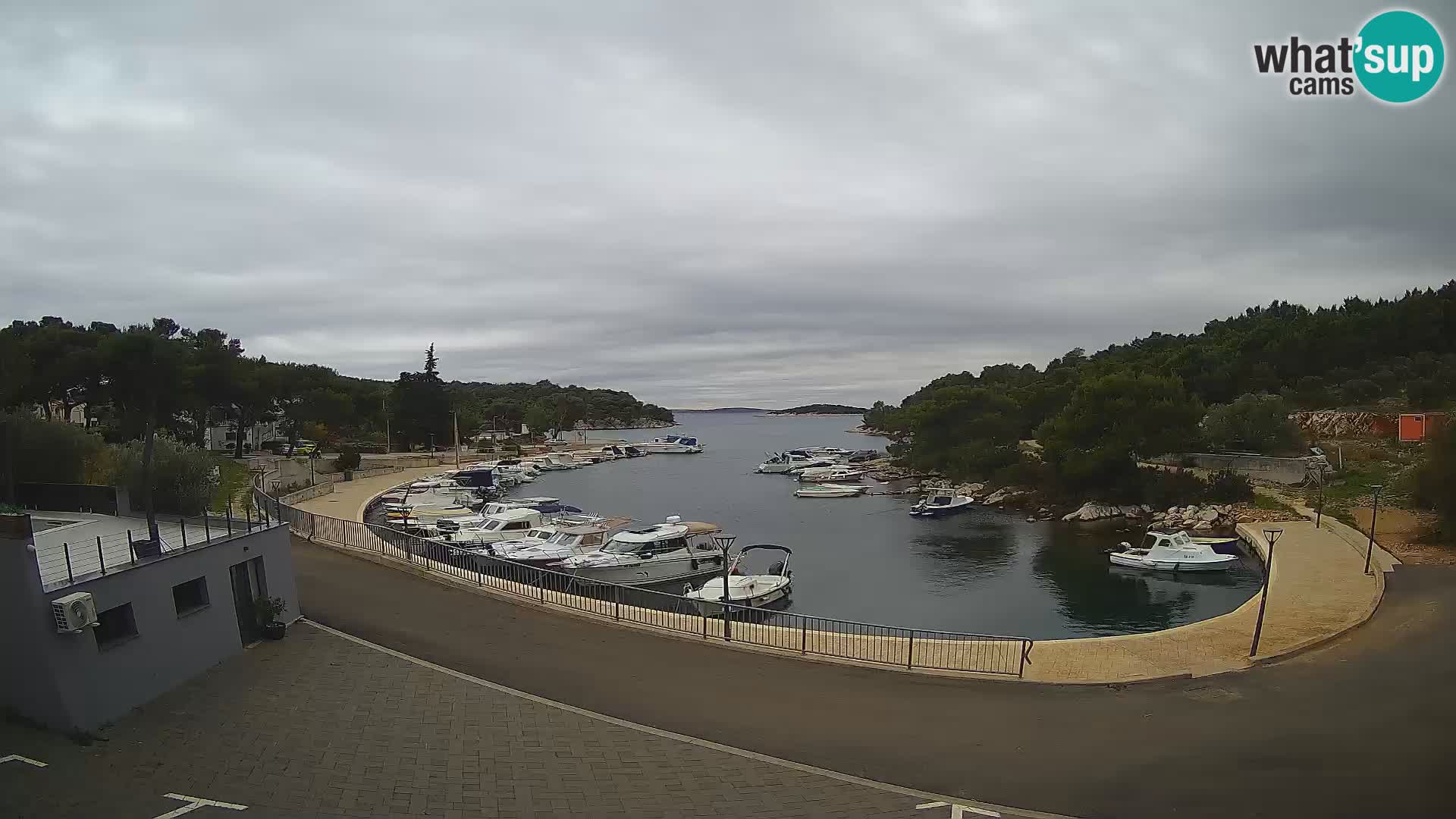 Kamera v živo Sovlje – ANTIC zaliv – Tribunj