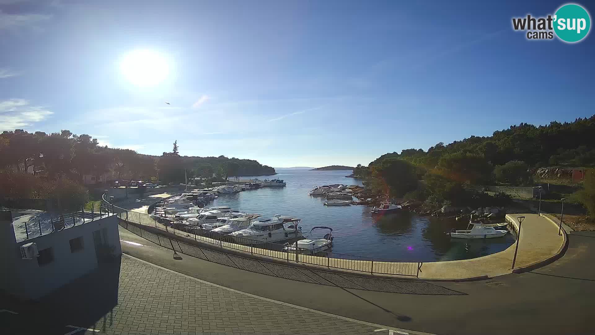 Kamera v živo Sovlje – ANTIC zaliv – Tribunj