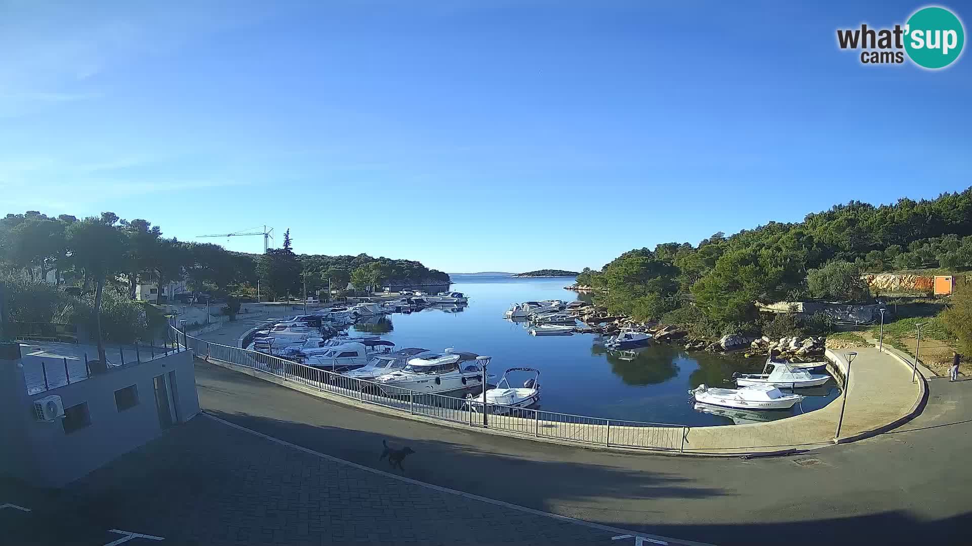 Kamera v živo Sovlje – ANTIC zaliv – Tribunj