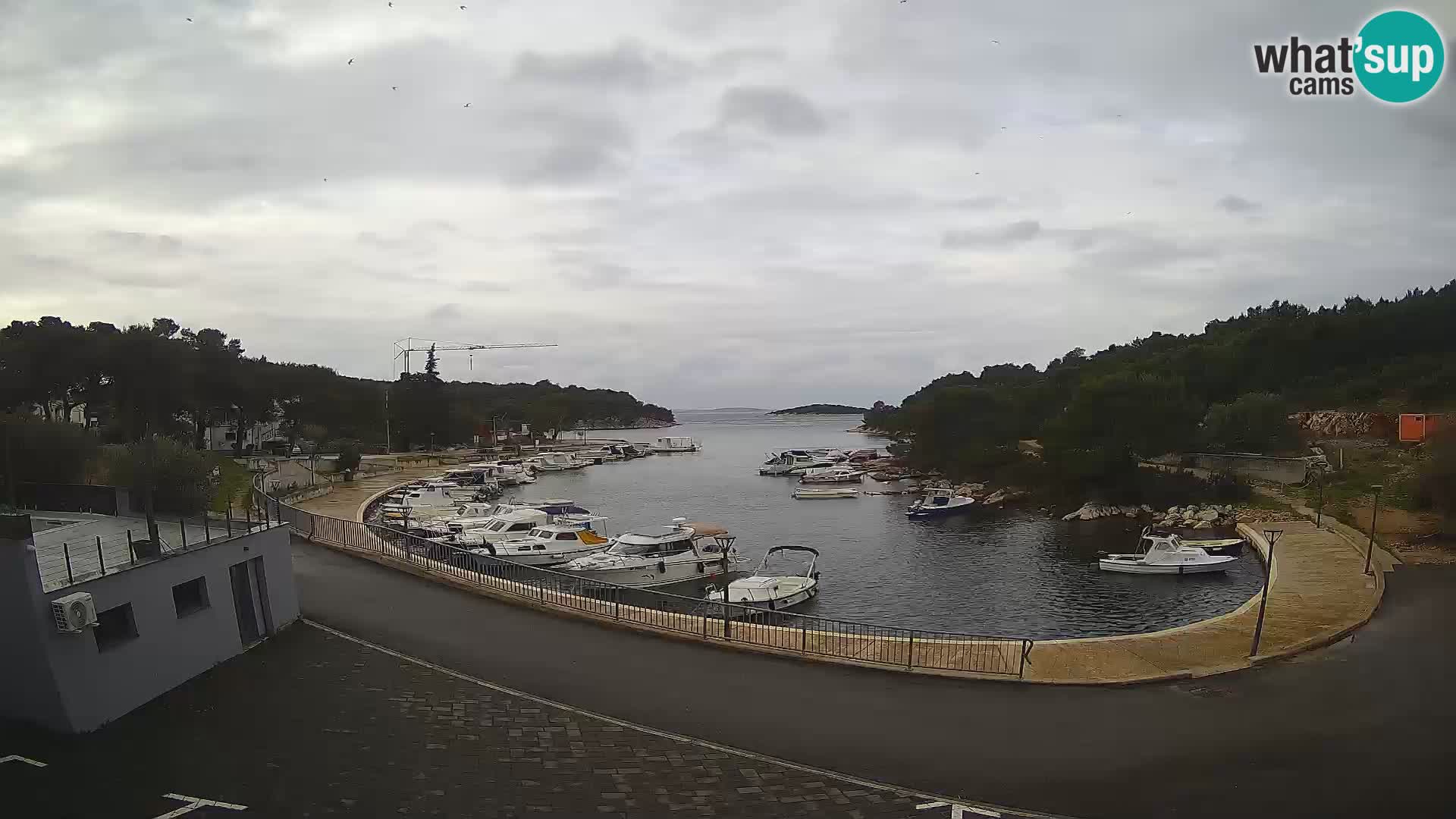 Webcam Sovlje – ANTIC Bucht – Tribunj