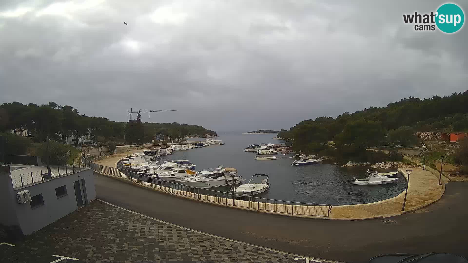 Webcam Sovlje – ANTIC Bucht – Tribunj