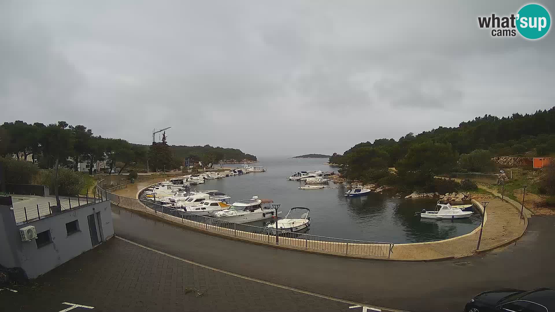 Kamera v živo Sovlje – ANTIC zaliv – Tribunj