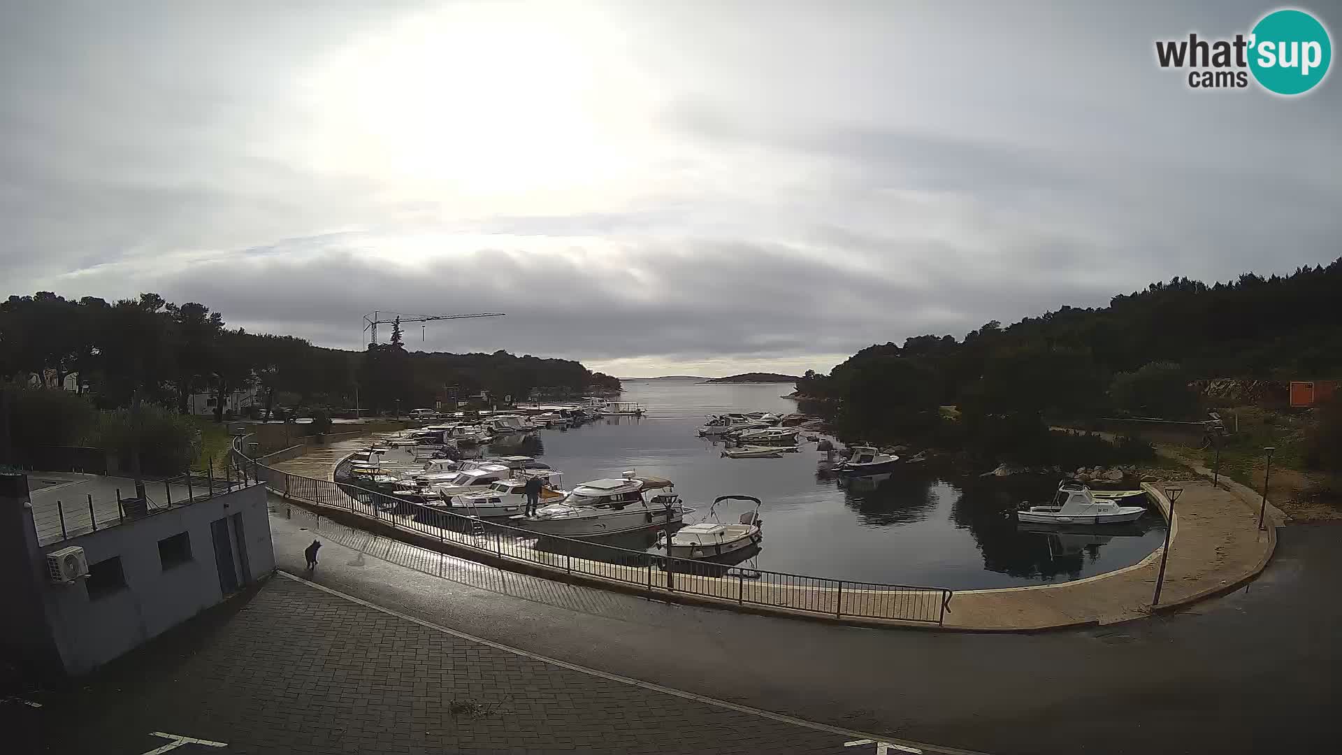 Kamera v živo Sovlje – ANTIC zaliv – Tribunj