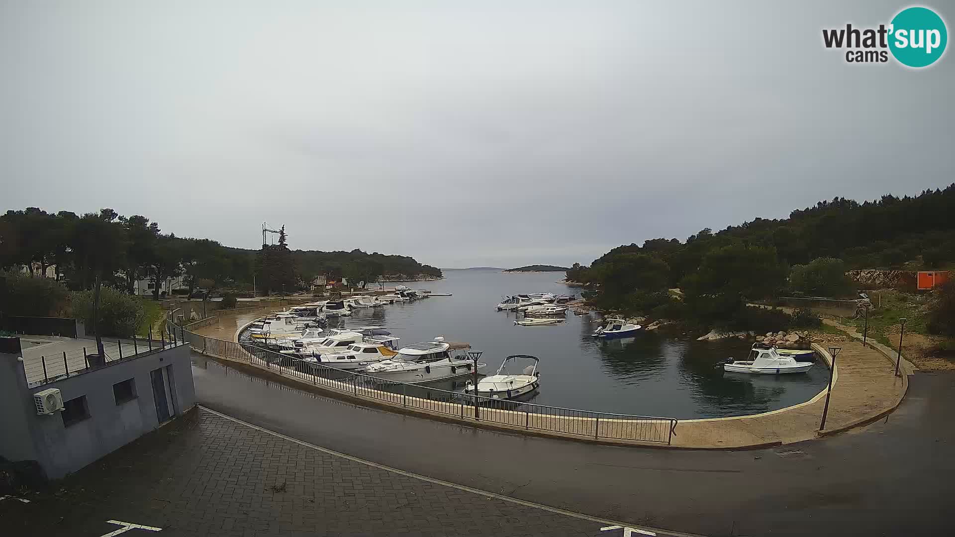 Kamera v živo Sovlje – ANTIC zaliv – Tribunj