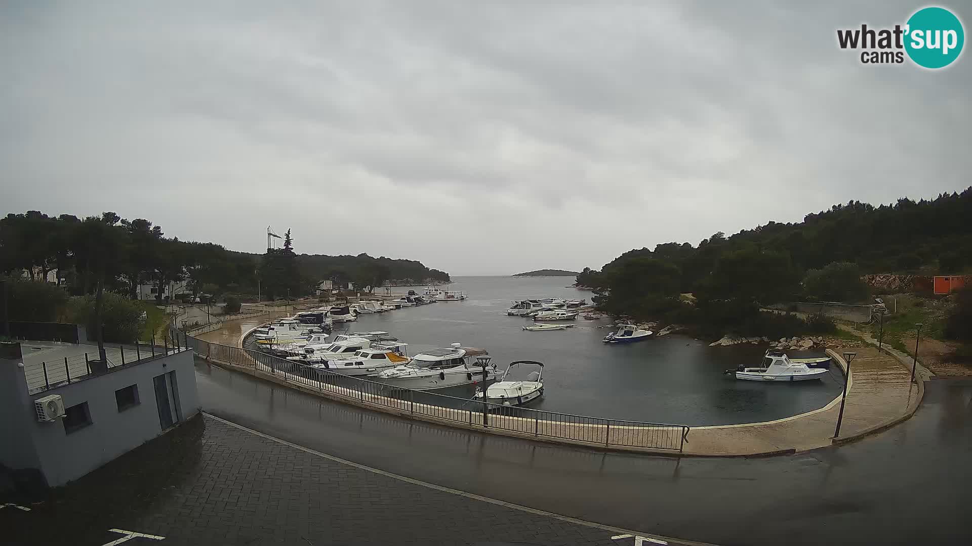 Kamera v živo Sovlje – ANTIC zaliv – Tribunj