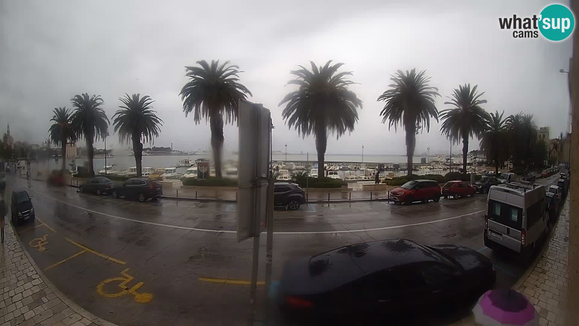 Webcam Split – Seaside Promenade