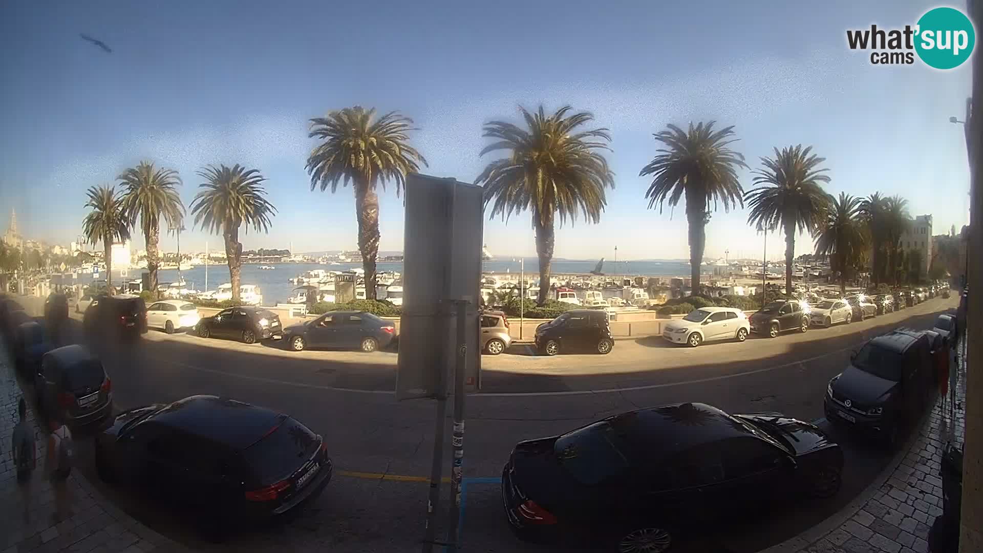 Webcam Split – Seaside Promenade