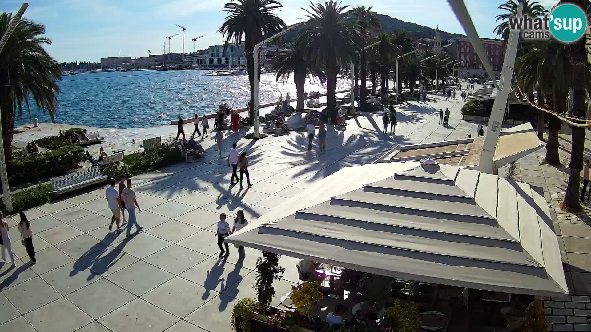 Split riva webcam