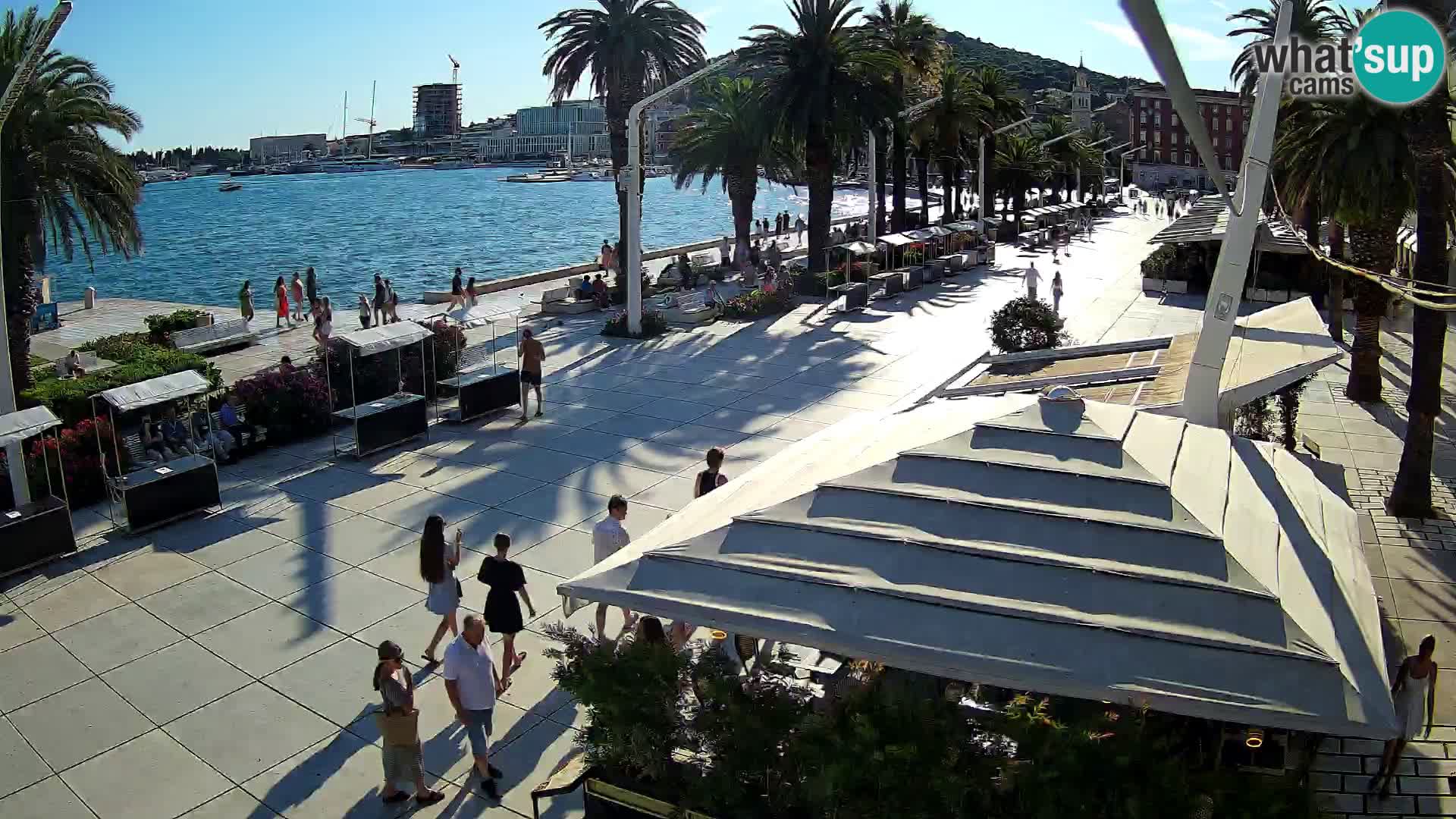 SPLIT Webcam LIVE The amazing Dalmatian City