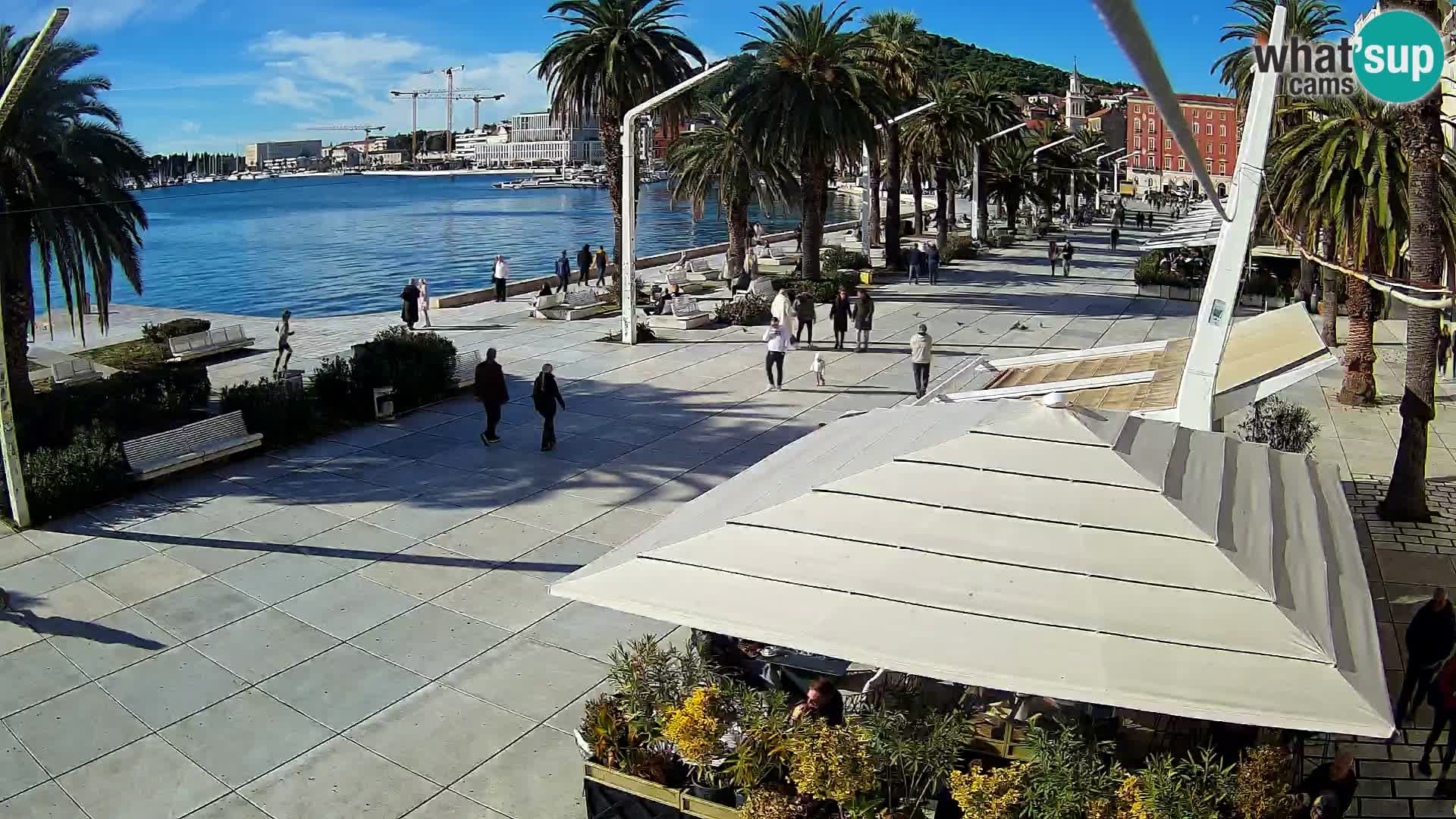 Split riva webcam