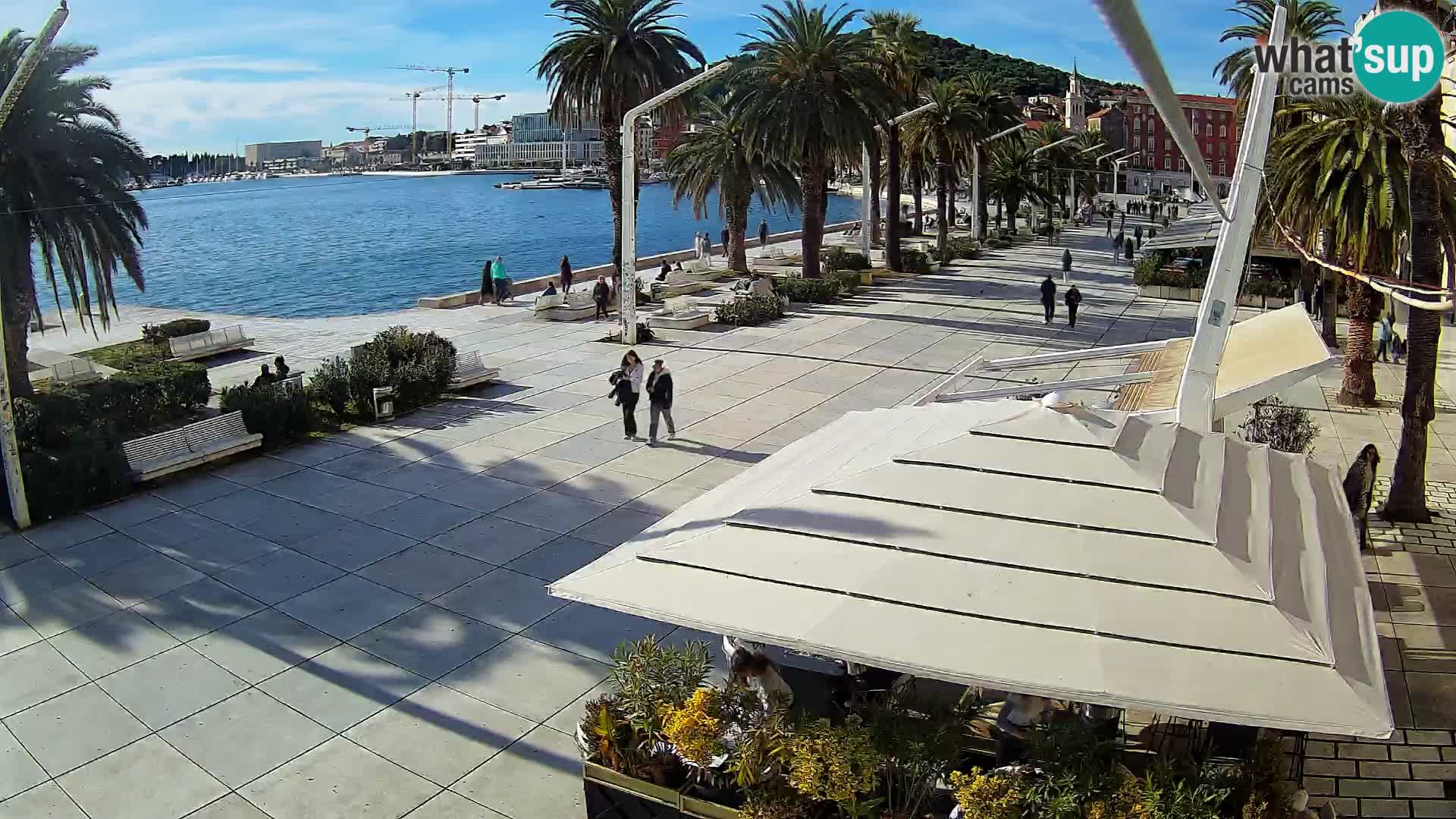 Split riva webcam