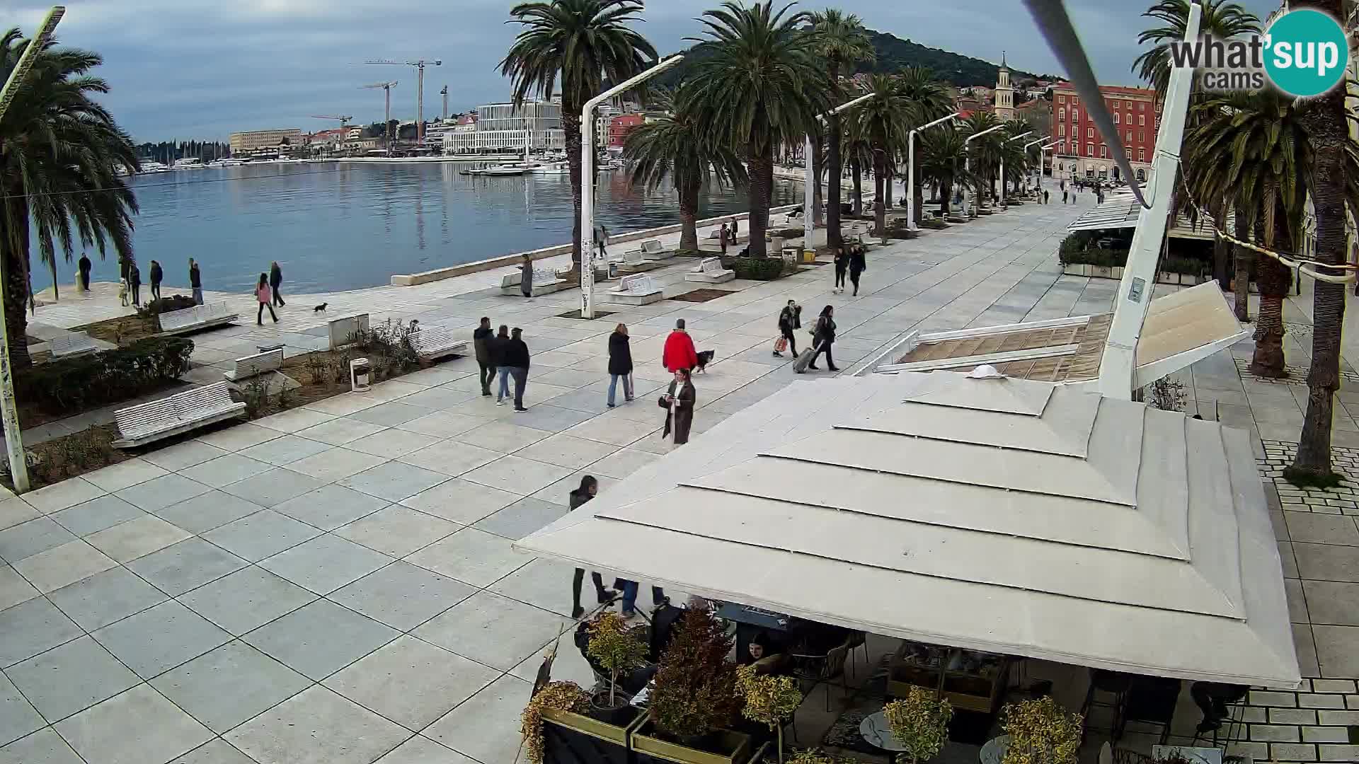 Split riva webcam