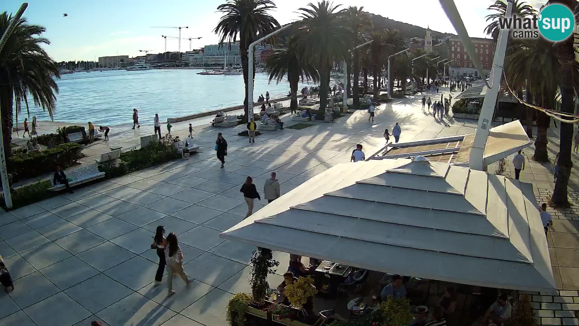Split camera en vivo – Riva