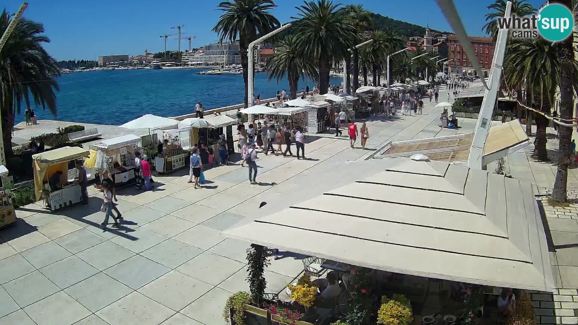 Split Riva webcam
