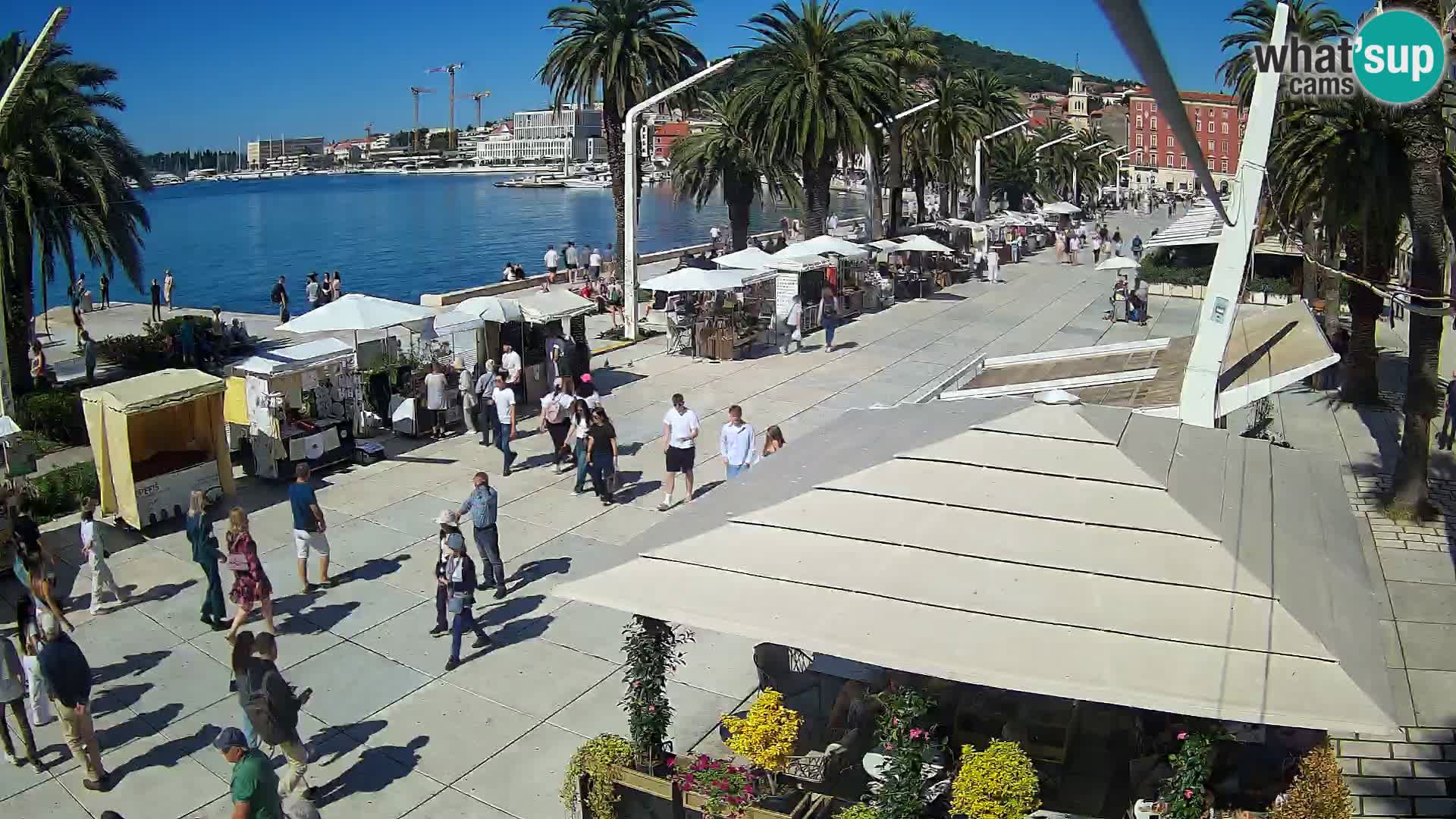 Split riva webcam