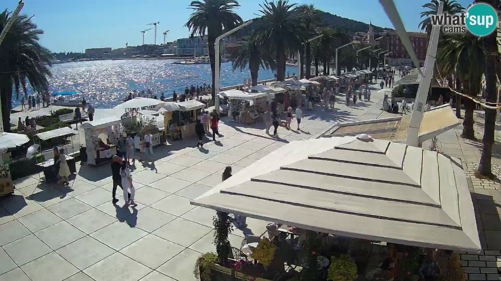 Split riva webcam
