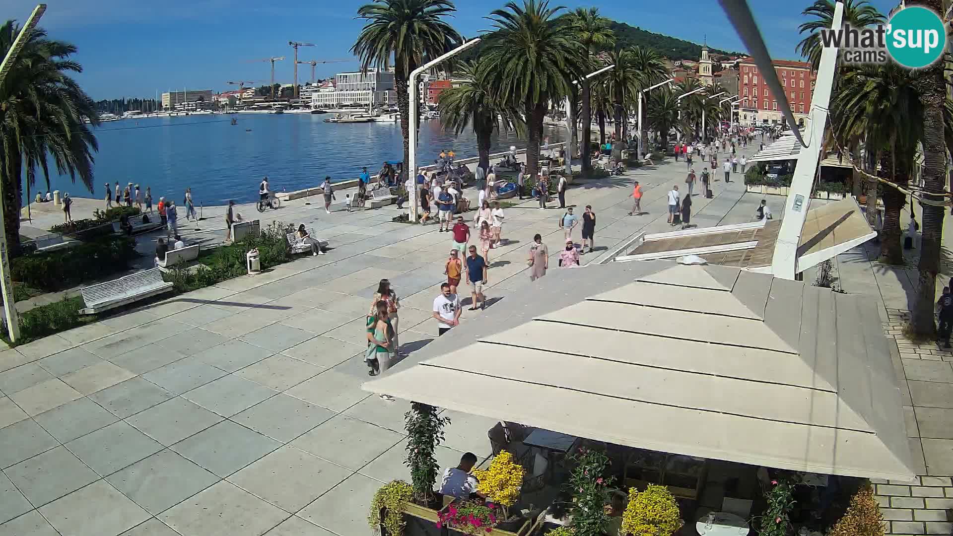 Split riva webcam