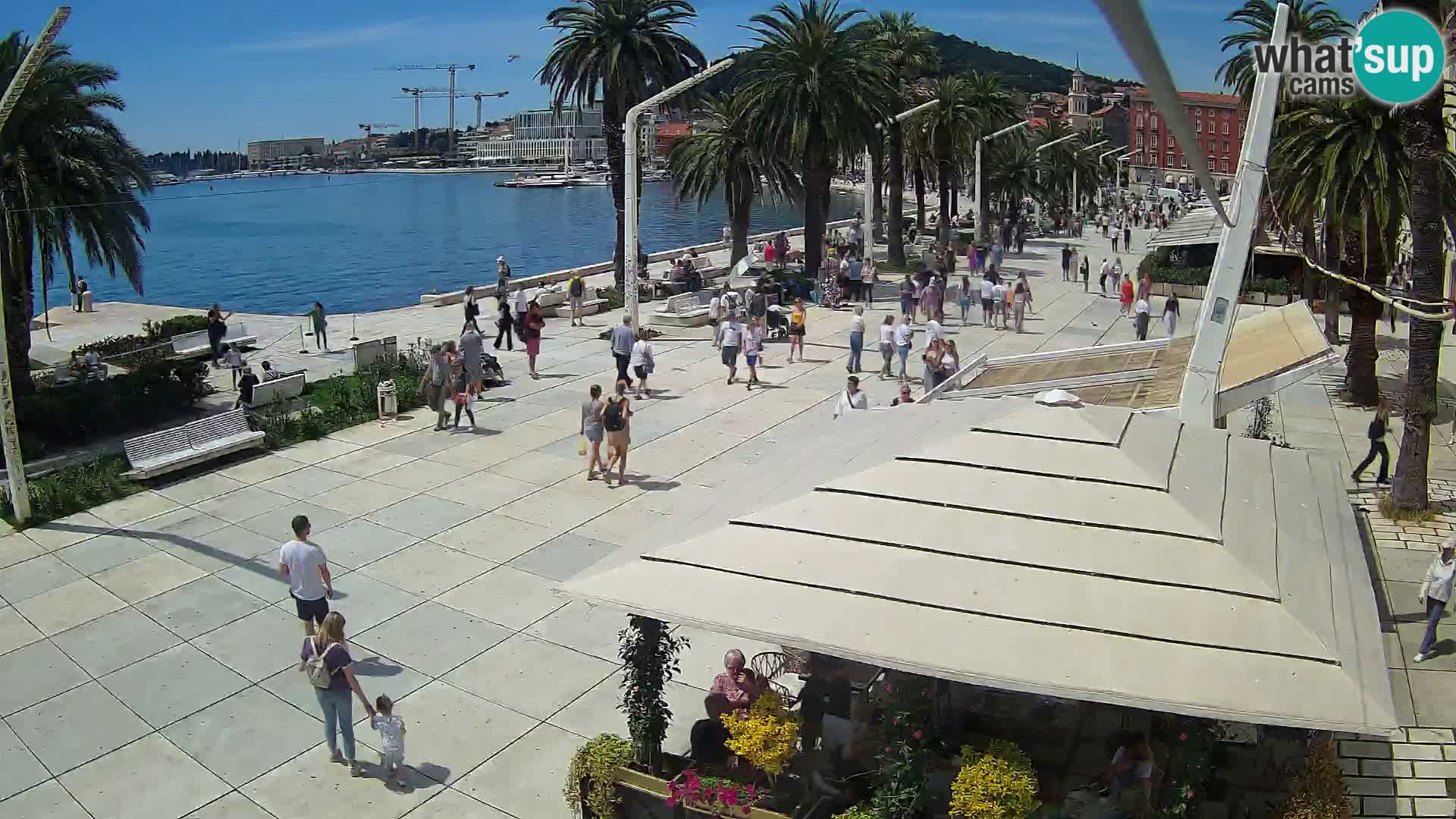 Split Riva webcam