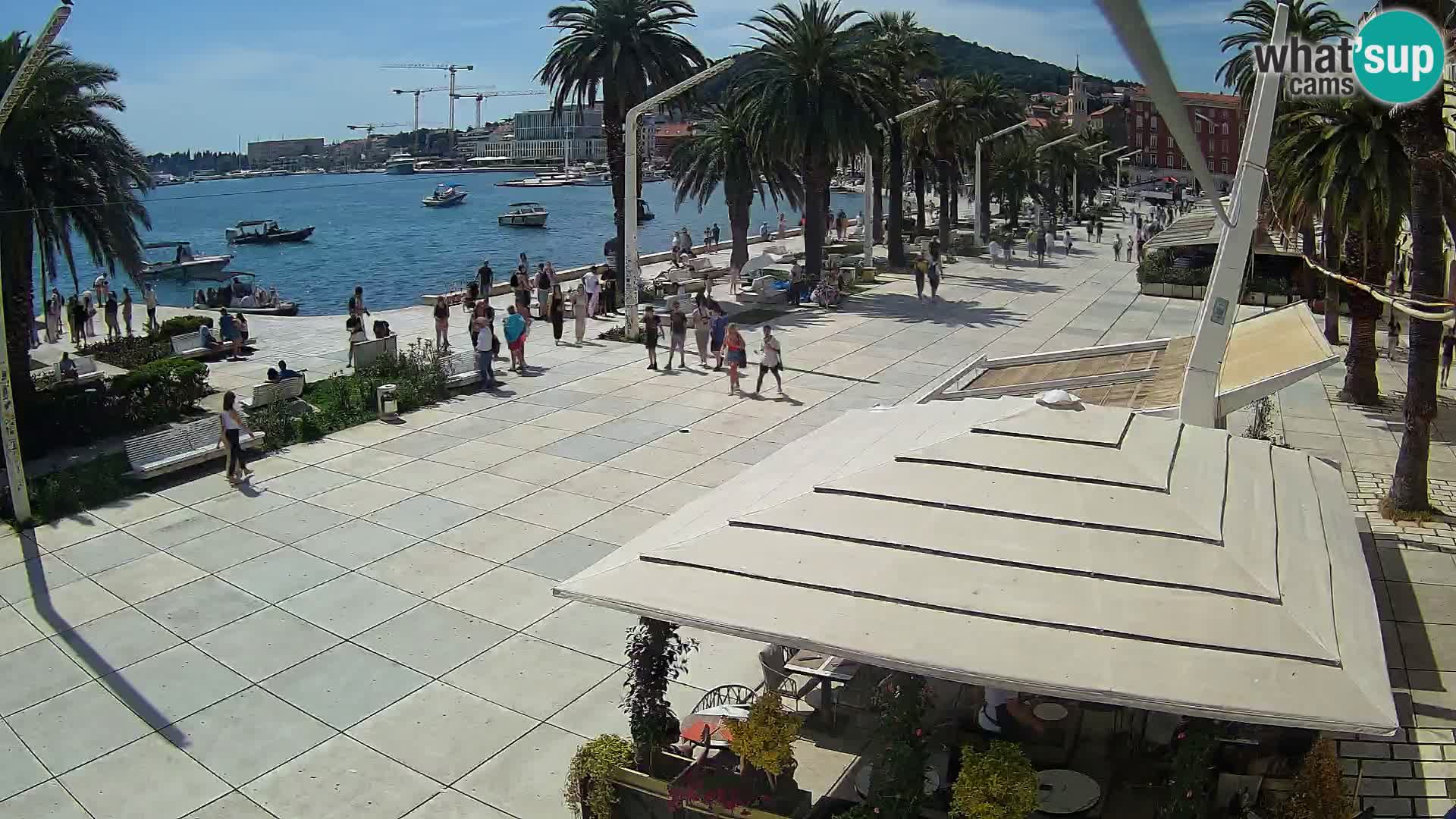 Split camera en vivo – Riva