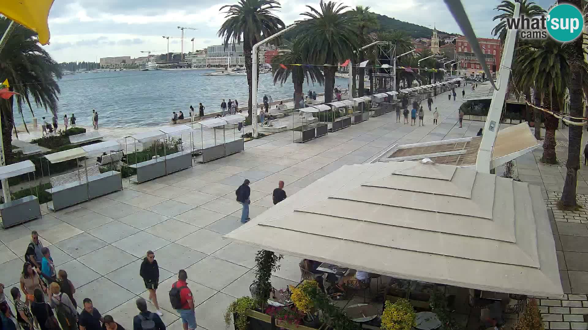 Split camera en vivo – Riva
