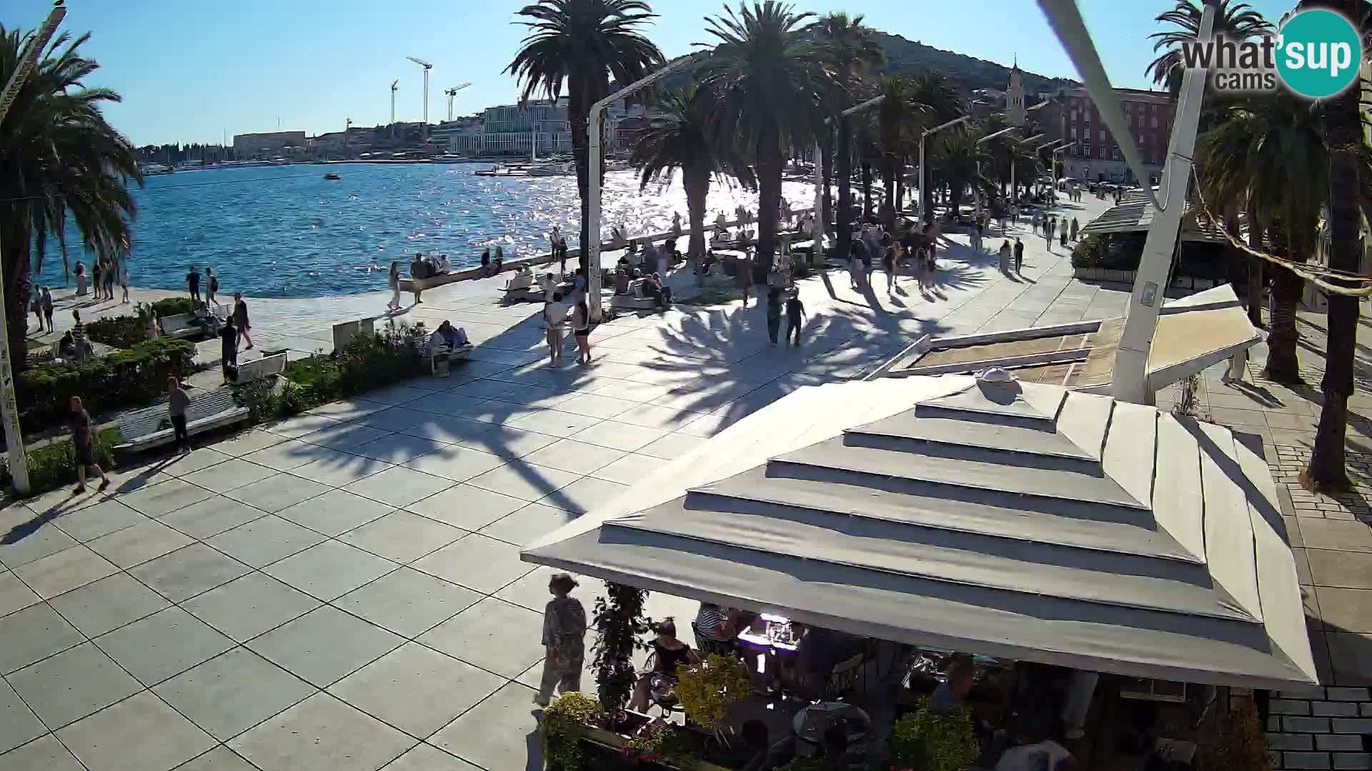 Split camera en vivo – Riva