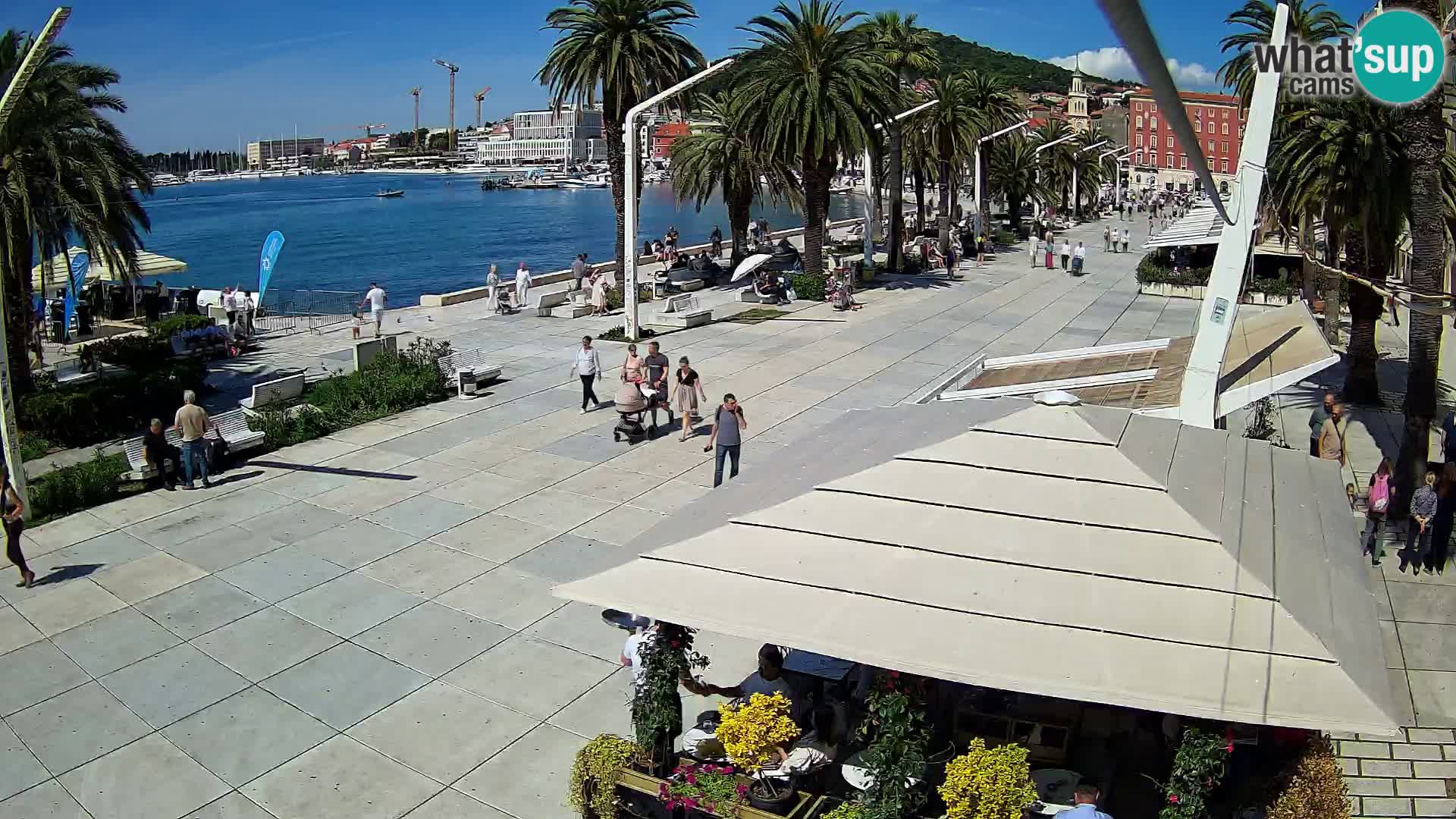 Split camera en vivo – Riva