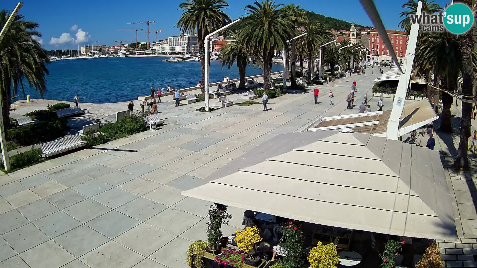 Split riva webcam