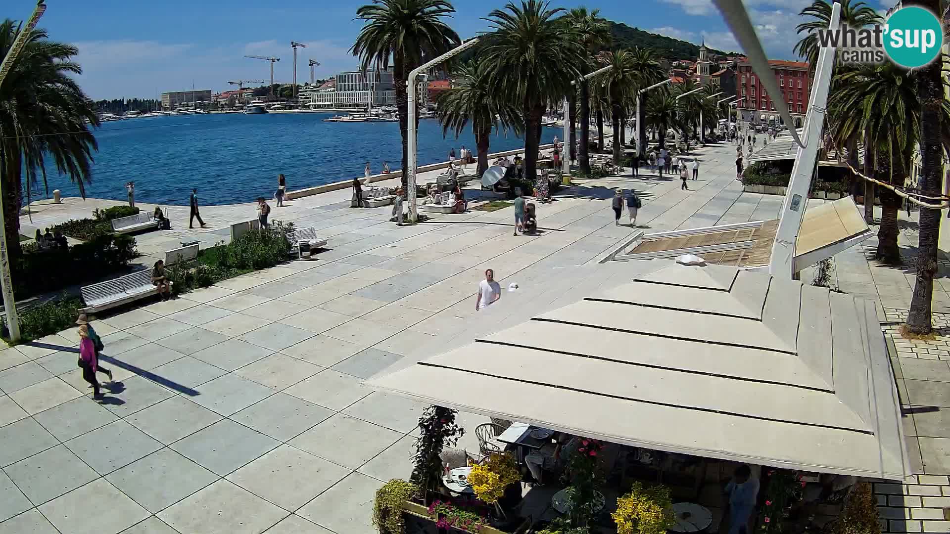 Split camera en vivo – Riva