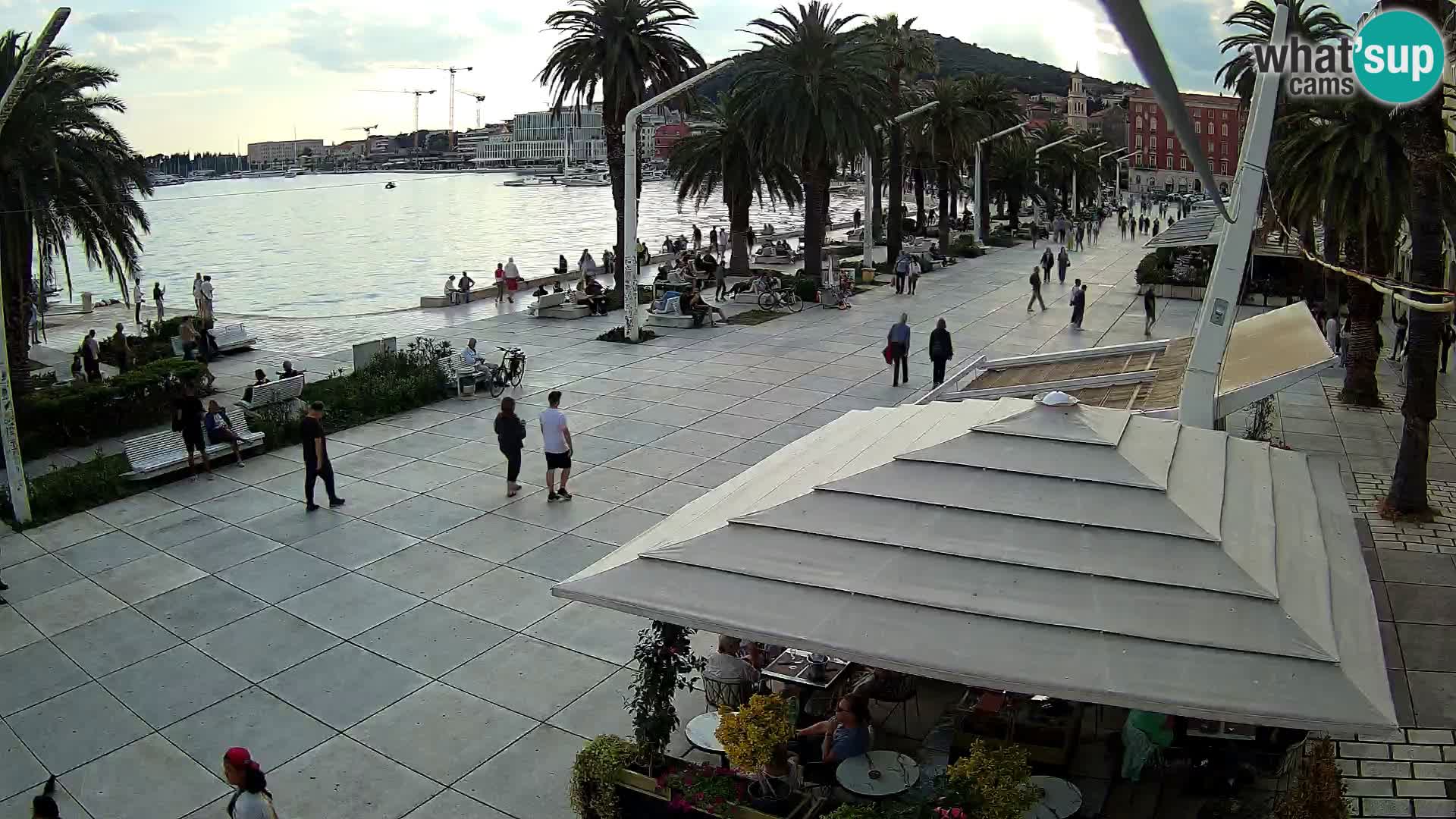 Split camera en vivo – Riva
