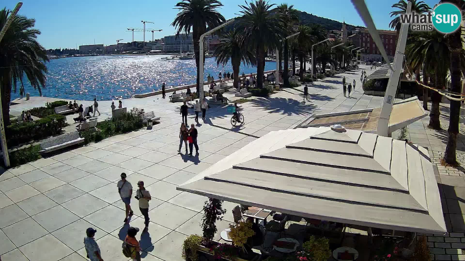 Split riva webcam